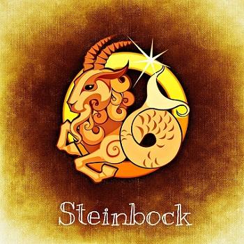 Sternzeichen steinbock partner