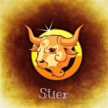 stier und skorpion 2017