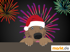 Entspannte Silvesternacht mit dem Hund Grafik Silvester mit Hund
