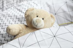 Teddy im Bett