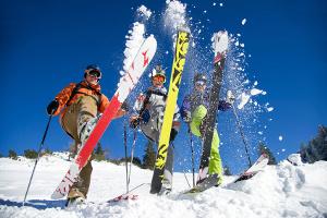 Bild Carving Ski Wintersport