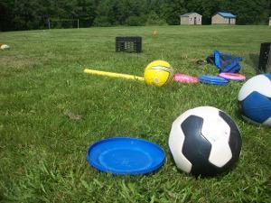 Bild Wiese mit Volleybällen und Frisbee