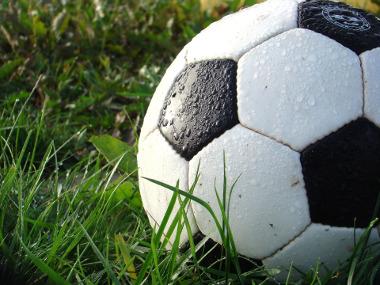 Bild Fußball im Gras