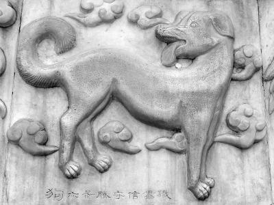 Chinesisches horoskop hund frau und schlange mann