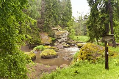Wandern am Goldsteig - Entspannung pur. Bild Goldsteig Wanderweg